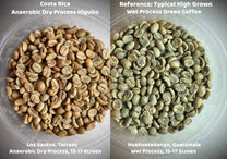 Costa Rica Anaerobic Dry Process Higuito