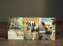 Dogs of Coffee Playing Cards