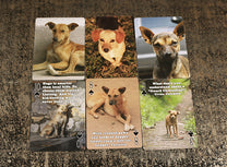 Dogs of Coffee Playing Cards