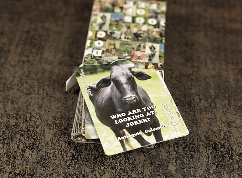 Dogs of Coffee Playing Cards
