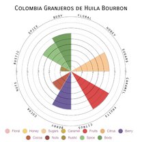 Coffee cherries change from a lime green to pinkish red as they ripen on a branch at a Pitalito coffee farm.