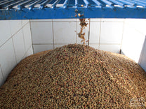  Ahuachapán