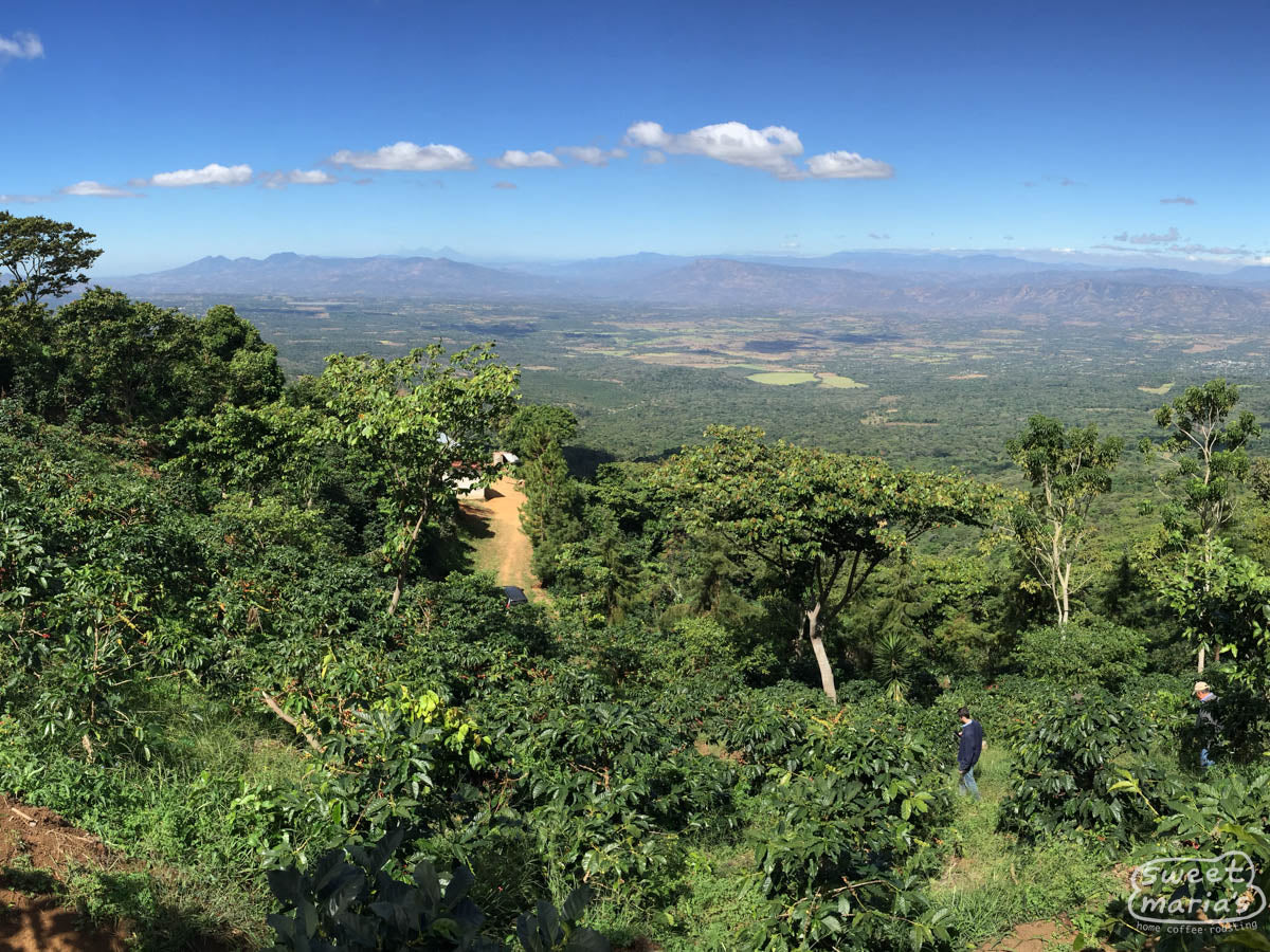  El Salvador.