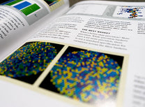 Colorful charts and diagrams!