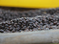  stands out front of the coffee processing site on the road leading through Beshasha Badiya