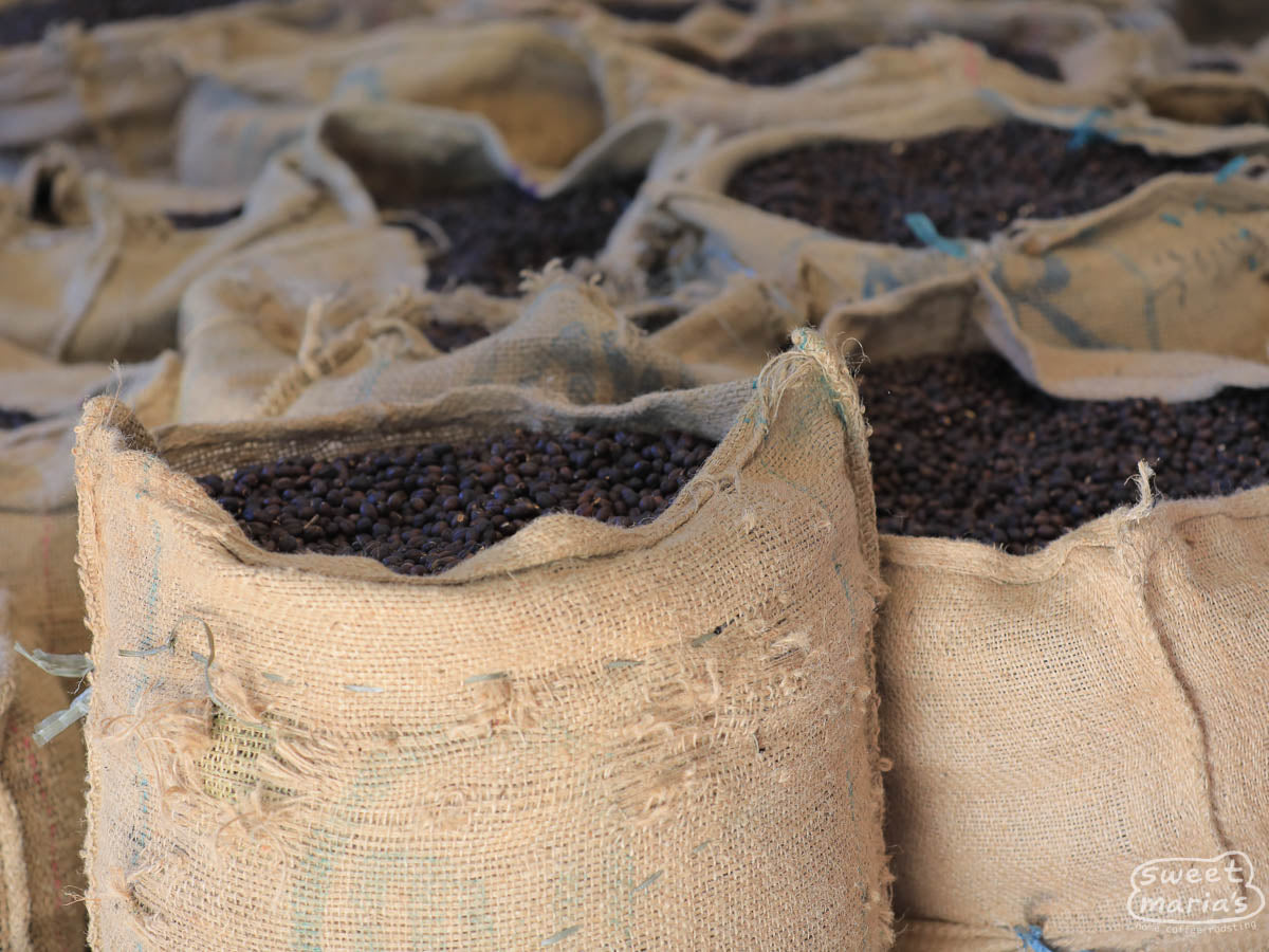 Ethiopia Dry Process Bensa Kokose