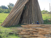 Sometimes you have to go to Ethiopia to learn about Michigan fashion. Gure Dako wet mill.