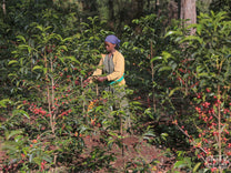 Ethiopia.