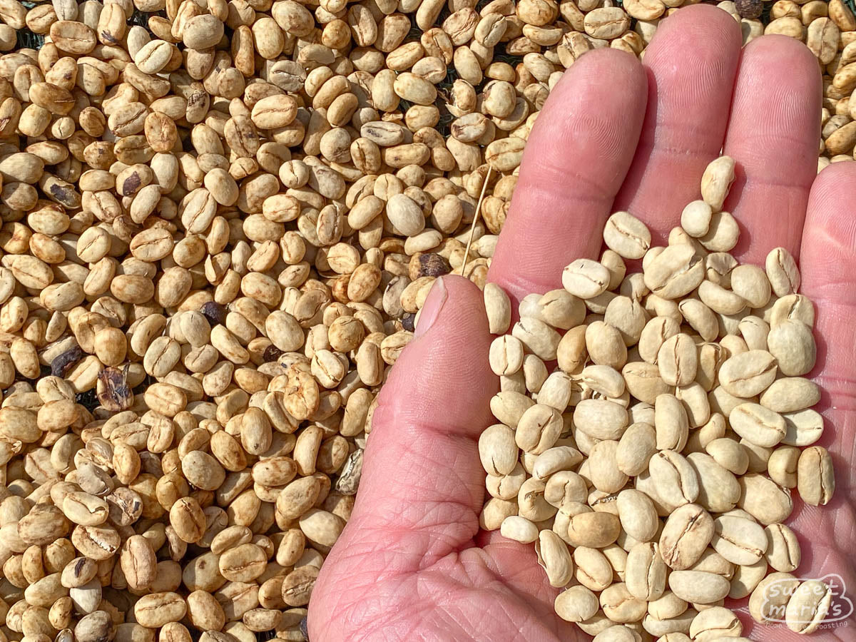 Yellow honey process coffee on the right (hence the name