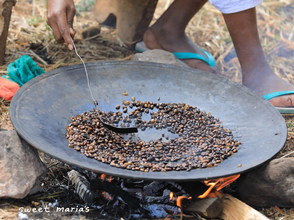 Yodit, coffee farmer and pharmacist, owner of Senna Katta Mountain green coffee farm in Limu Kossa, Ethiopia.