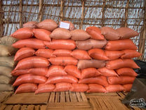 Workers sift through wet process coffee for defects while the coffee dries on raised beds at Gerba Dogo site, Guji.