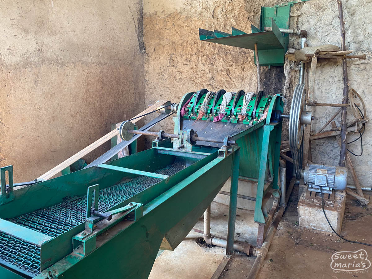 Workers sift through wet process coffee for defects while the coffee dries on raised beds at Gerba Dogo site, Guji.