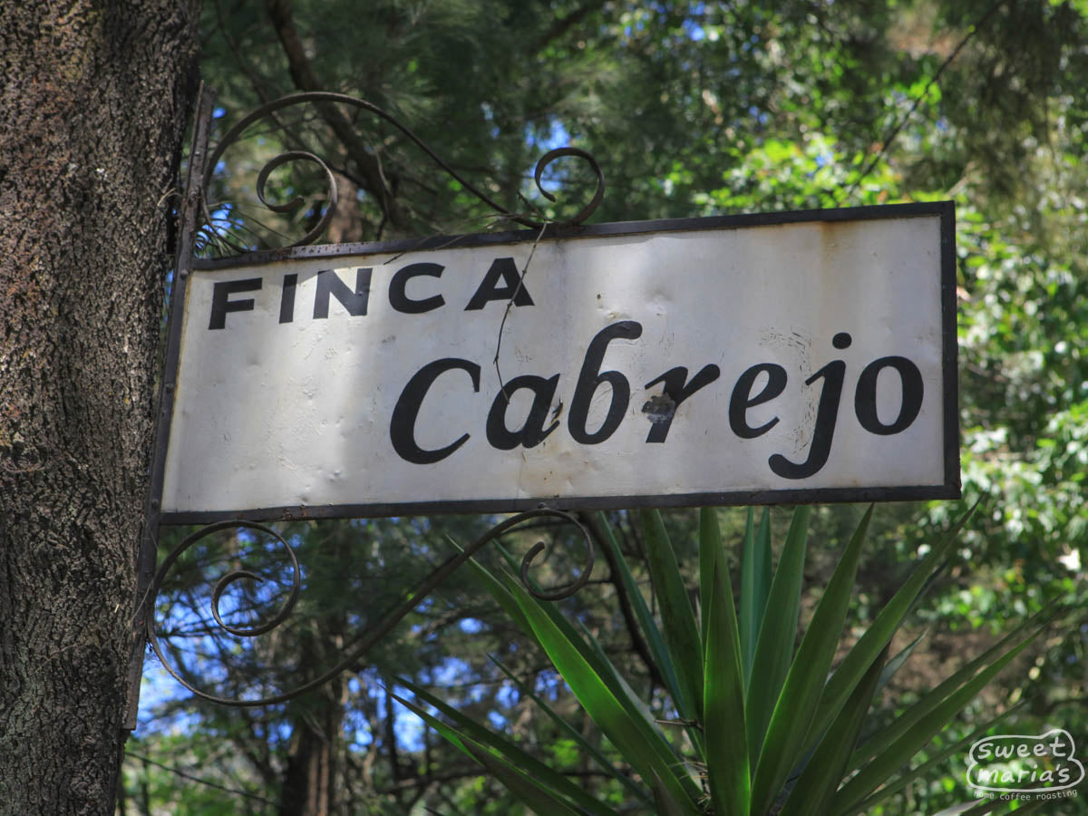 The sign hanging from a tree at the entryway reads "Finca Cabrejo", leading into the Antigua green coffee estate. Antigua, Guatemala.