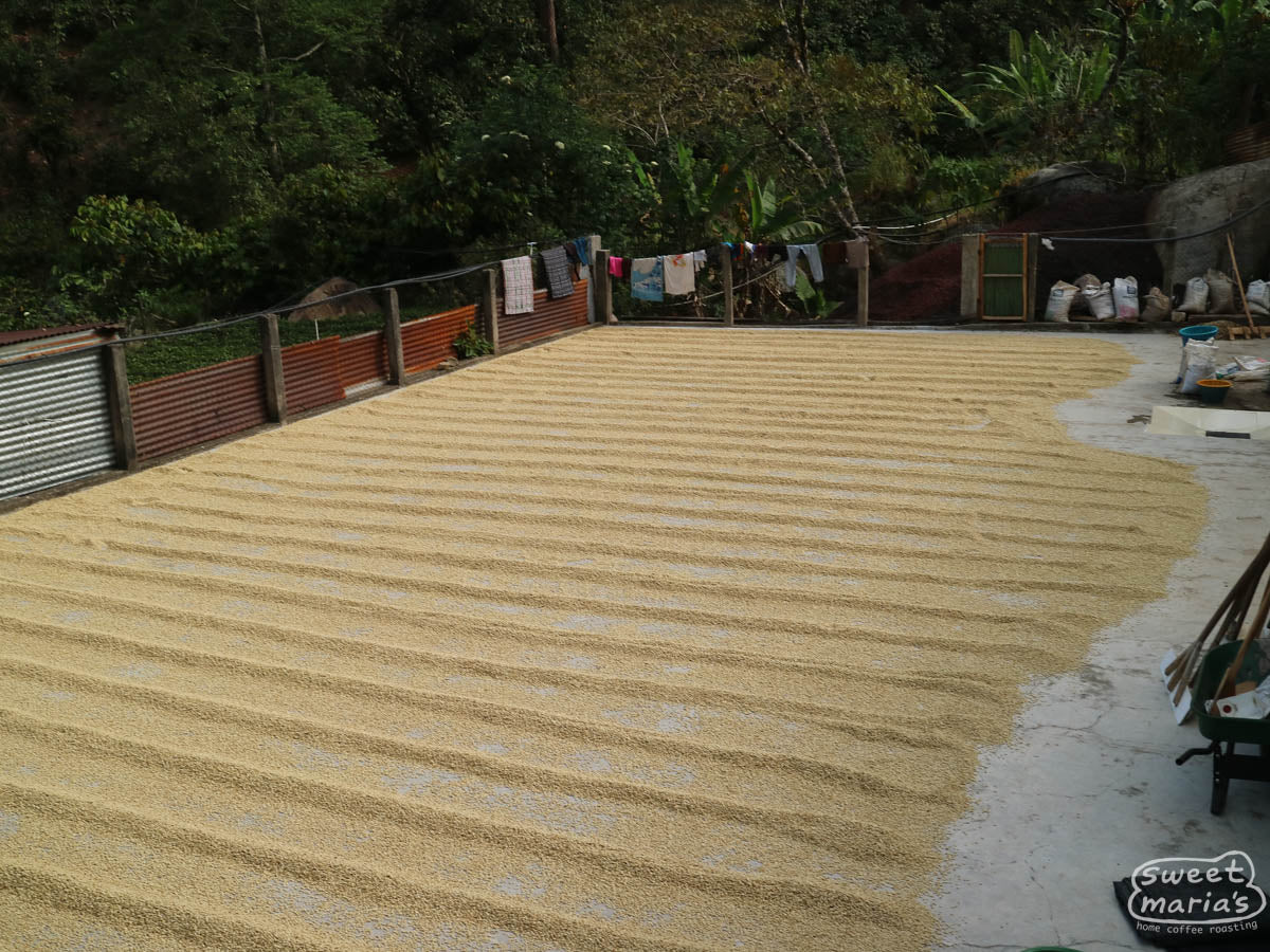 Huehuetenango.