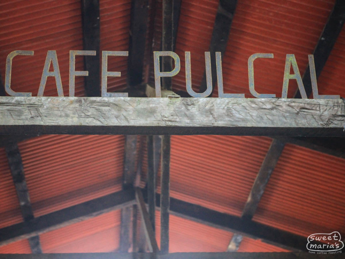  Hacienda Pulcal also houses a respectable number herd of dairy cows.