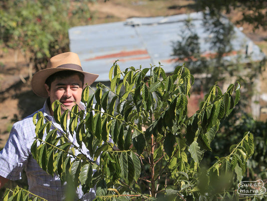 Fredy Morales poses for a photo on a sunny afternoon at Aguacatones in Huehuetenango, Guatemala.