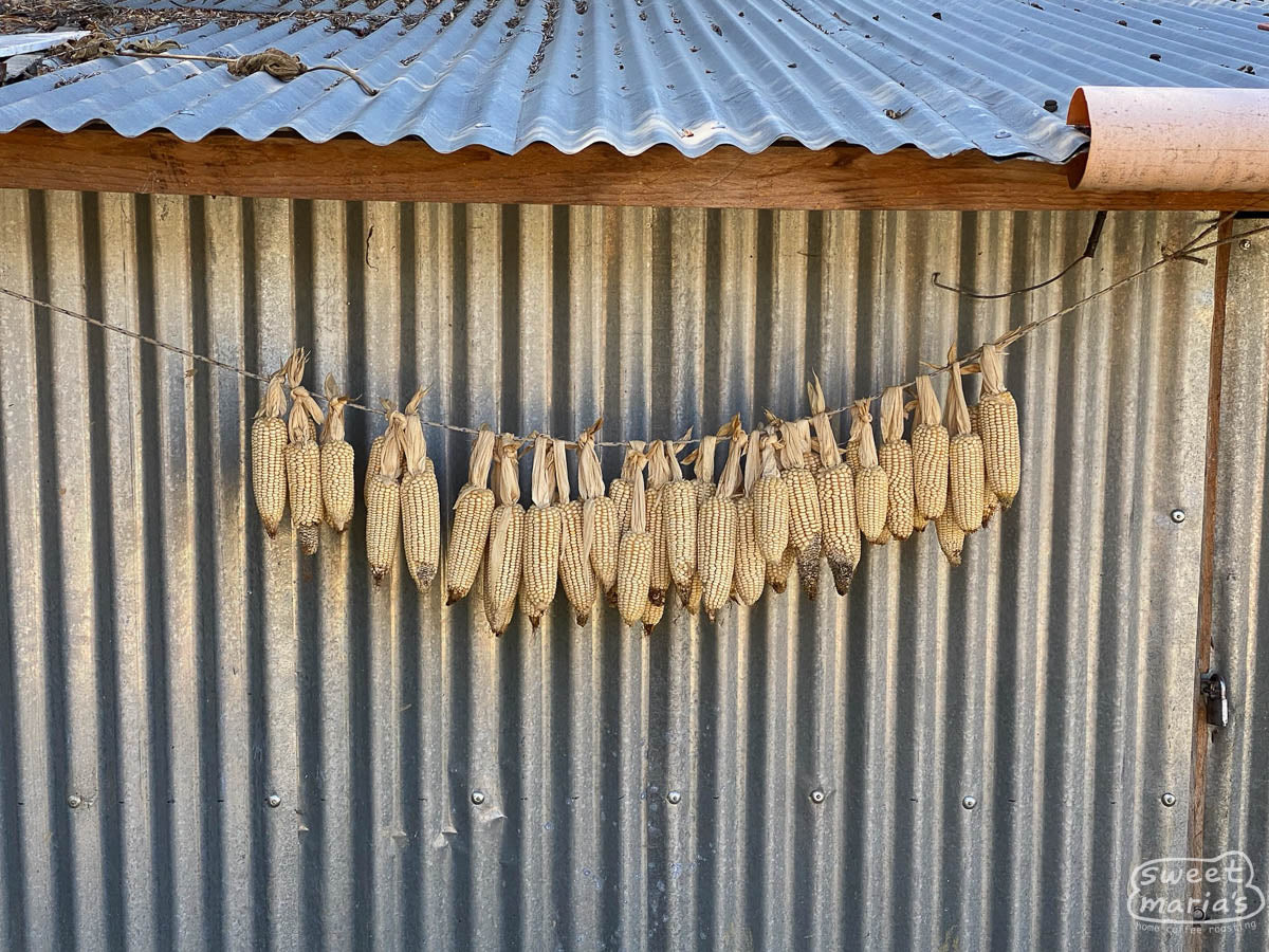  Huehuetenango