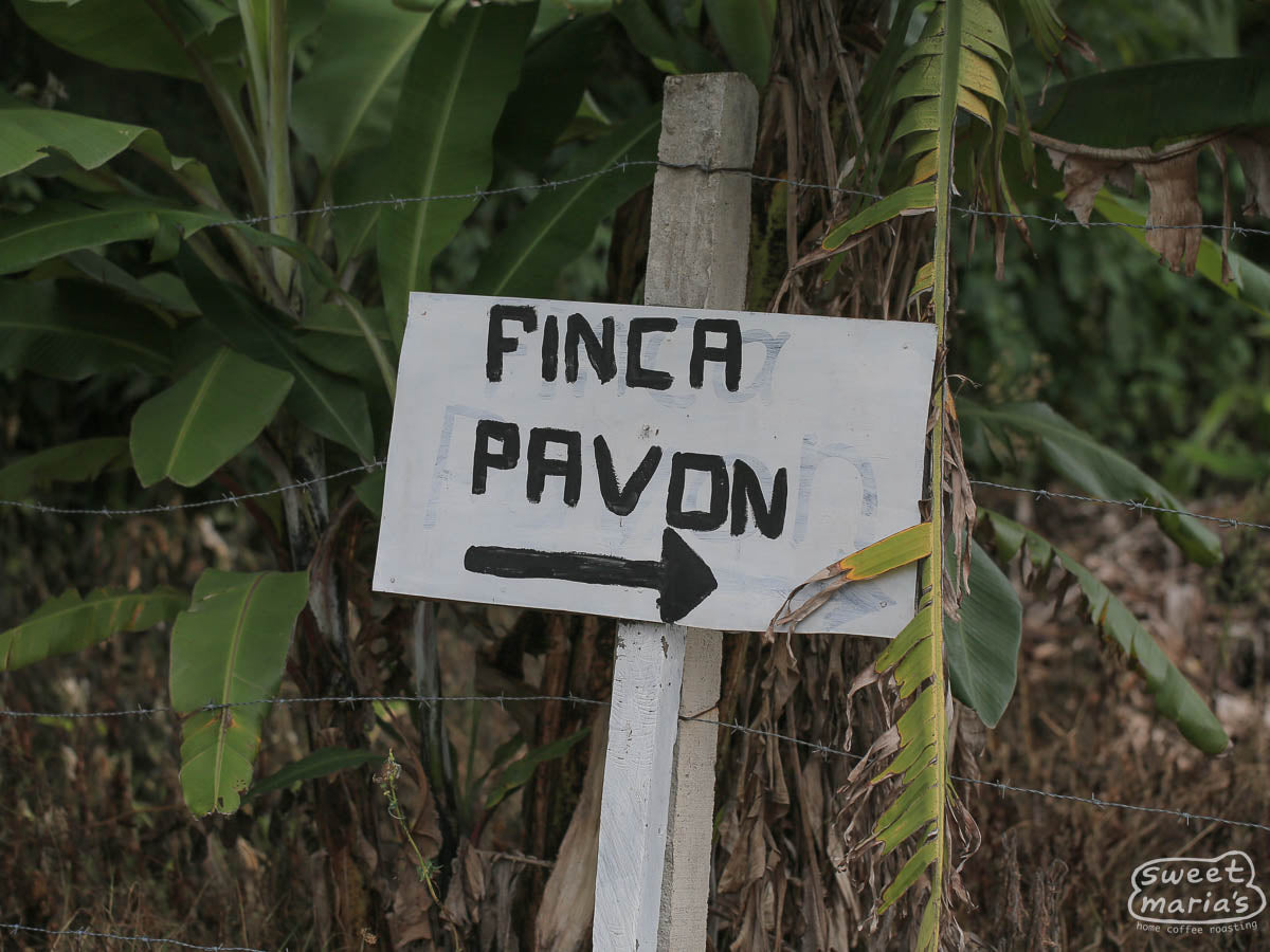 Hand scrawled sign that reads "Finca Pavon", points the way to the main part of the farm. Antigua, Guatemala.
