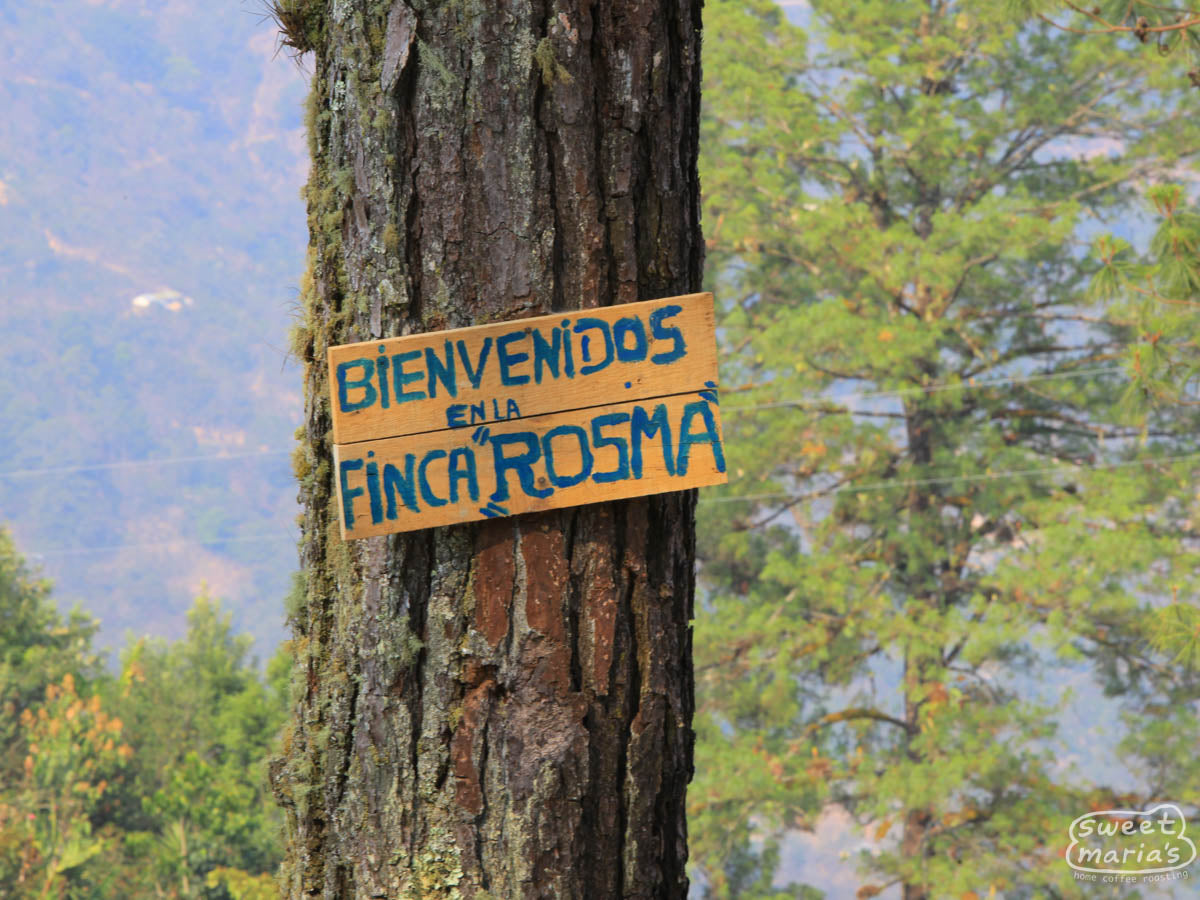 A hand painted sign that hangs on a tree reads, "Bienvenidos en la Finca Rosma", as you enter the farm.