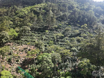  Huehuetenango