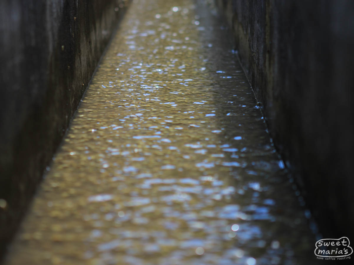 Rippling water in the cement washing channel at a wet mill in Huehuetenango, Guatemala. (not Jaime's farm).