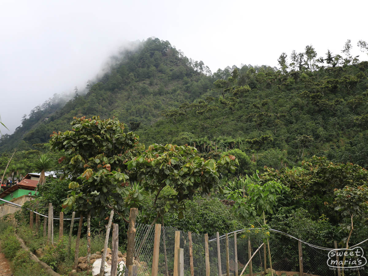 A web of power lines stretch from a tall line poll in La Libertad