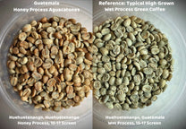 Guatemala Honey Process Aguacatones