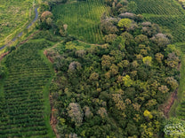  at their coffee farm in Kona