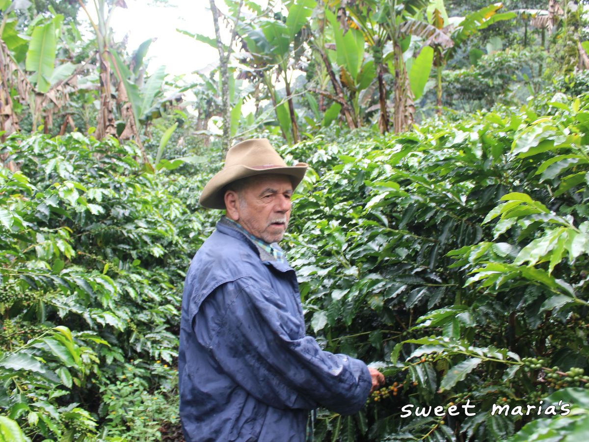Bags of dried parchment coffee at the San Vicente mill in Honduras.