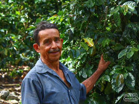 Andres Fernandes poses with in front of a coffee shrub with green cherries during the harvest in Las Flores, Honduras.
