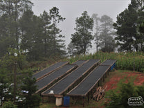 Raised drying tables ready for the harvest at a small farm in Santa Barbara region (not Roberto's farm).