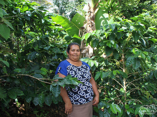 Maria Fernandez poses for a photo in the midst of lush green coffee shrubs at her farm Las Cipres in Las Flores de Santa Barbara, Honduras.