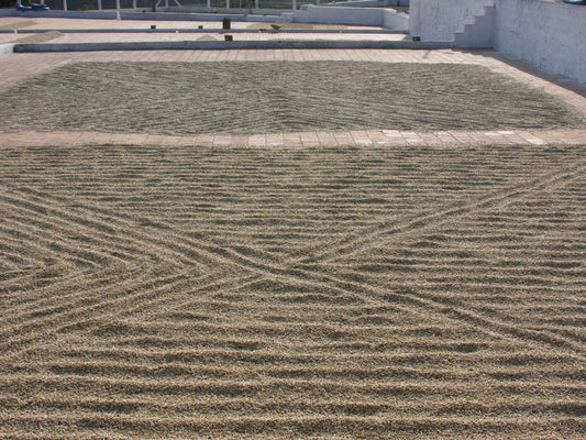 Parchment-covered green coffee drying on patios in Karnataka region of India.