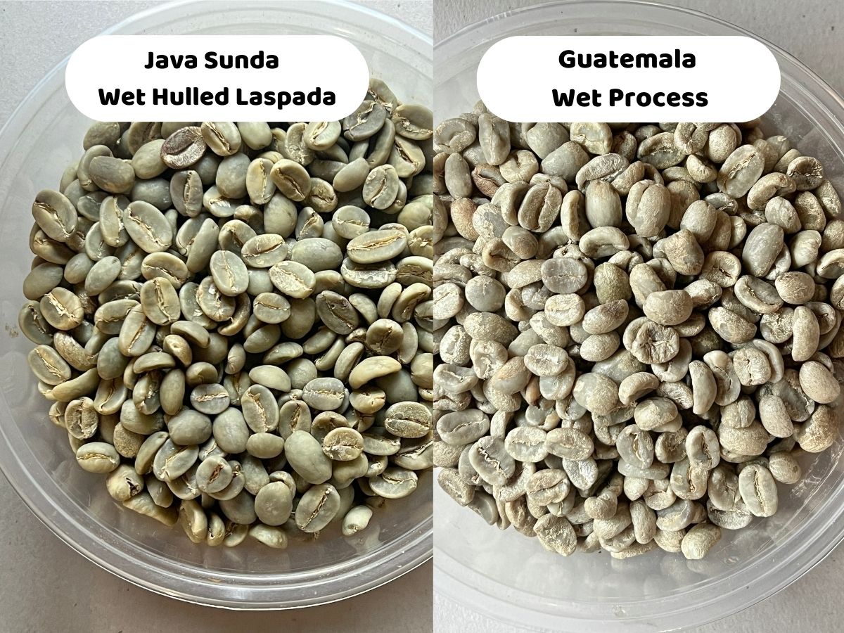 Java Sunda Wet Hulled Laspada Cupping Chart 