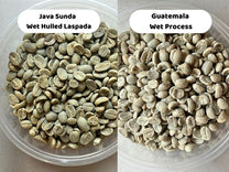Java Sunda Wet Hulled Laspada Cupping Chart 