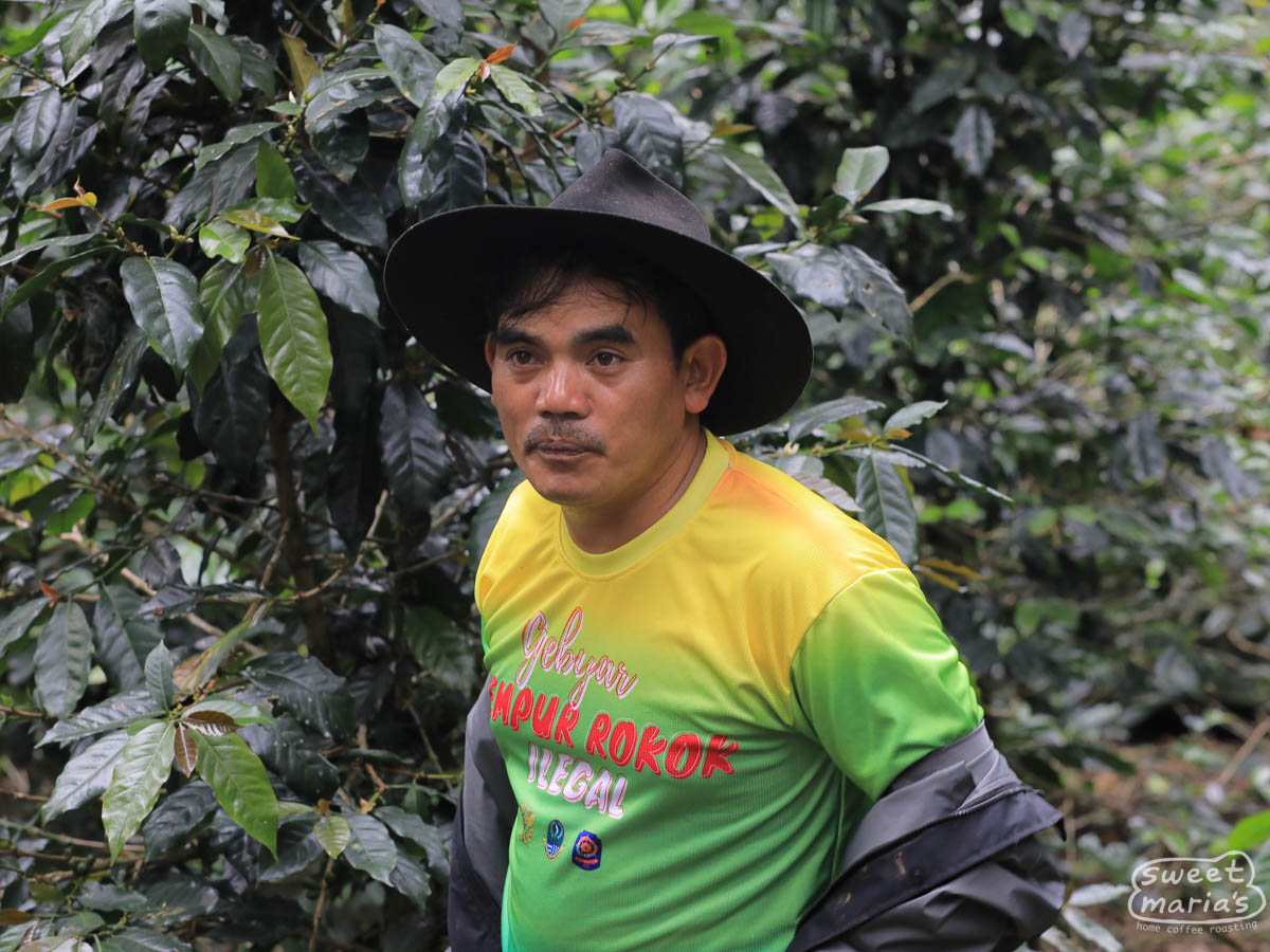 Pak D at his coffee farm in Indigiri, Rancabali District, Java.