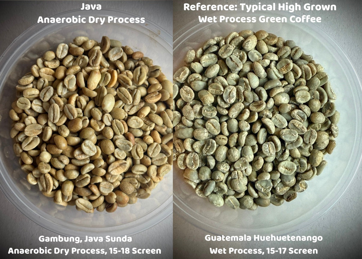 Java Anaerobic Dry Process Gambung