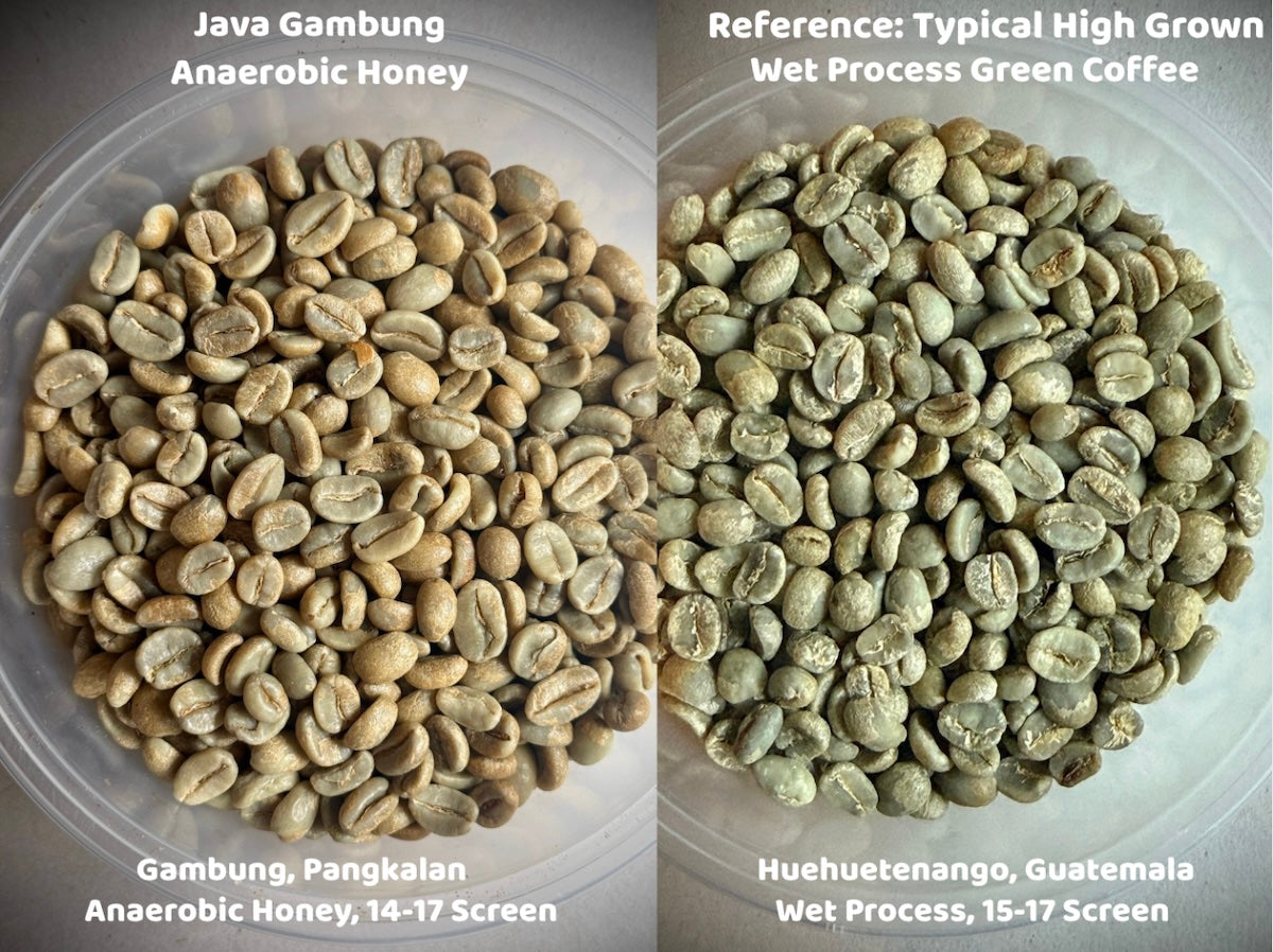 Java Anaerobic Honey Gambung Cupping Chart 