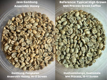 Java Anaerobic Honey Gambung Cupping Chart 