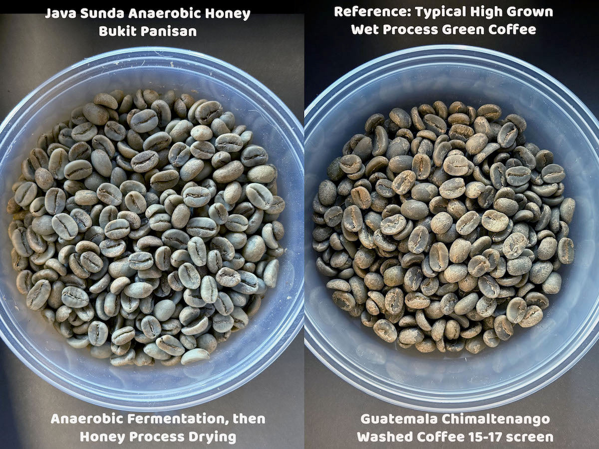 Side-by-side comparison of Java Sunda Anaerobic Honey Bukit Paniisan and a typical wet process Guatemalan coffee.
