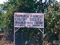 The pink hand-painted sign that marks the entrance to Maganjo reads, Rumukia Farmers Coop Society, Maganjo Coffeee Factory".