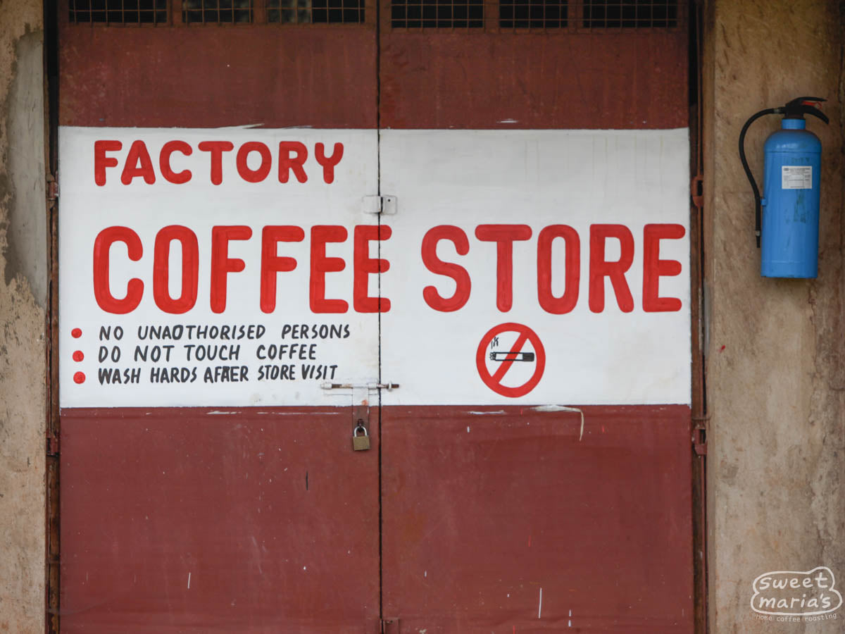 Doors leading into a large coffee storage room read "Factory Coffee Store", at a processing site in Nyeri.