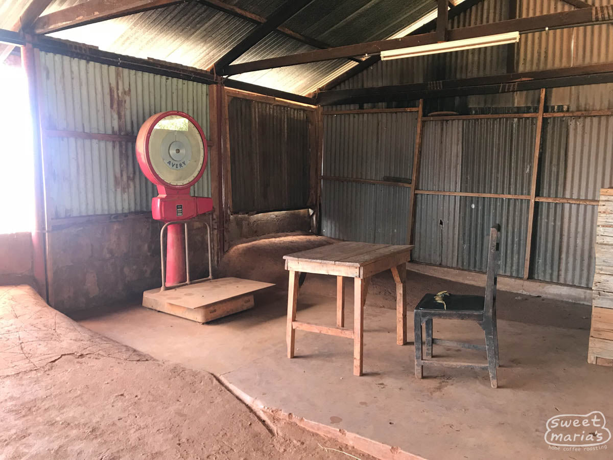 Large scale used to weigh incoming coffee cherry that the worker's payment will be based on. Nyeri.