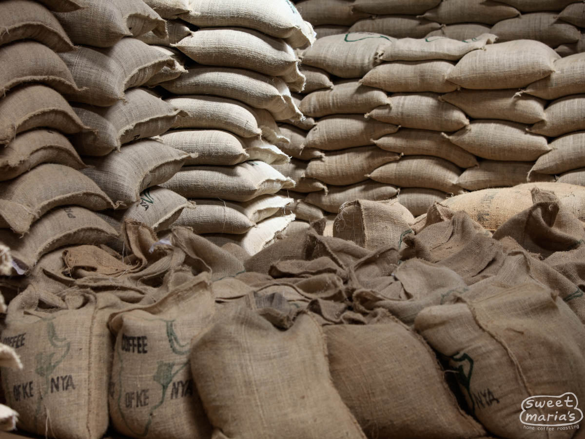 Woven jute bags are filled with dried parchment coffee that will rest in a cool factory warehouse while awaiting transport to the dry mill.