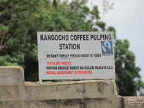 Sign outside of the Kangocho Factory washing station near Karatina, Nyeri, Kenya.