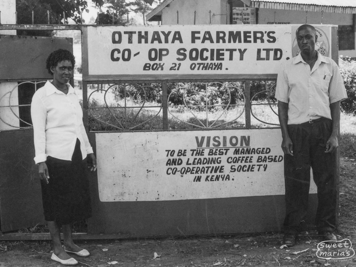 Standing at the gate to the Othaya Farmer's Cooperative Society offices in Nyeri, the society under which Karuthi operates. Nyeri, Kenya.