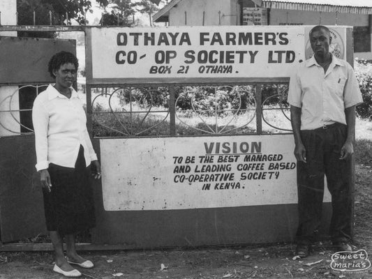 Standing at the gate to the Othaya Farmer's Cooperative Society offices in Nyeri, the society under which Karuthi operates. Nyeri, Kenya.