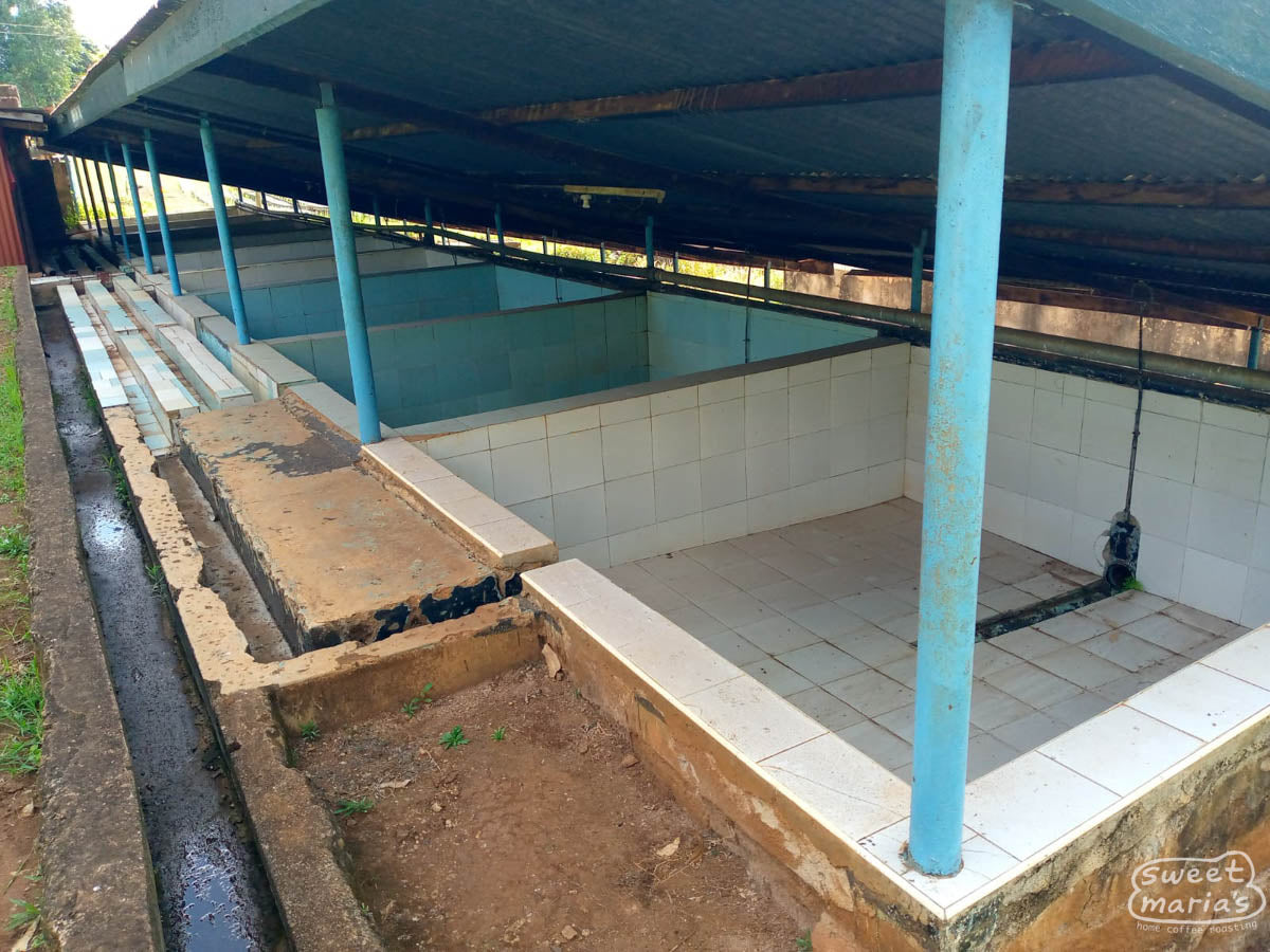 Raised drying tables at a coffee processing site in Kirinyaga.