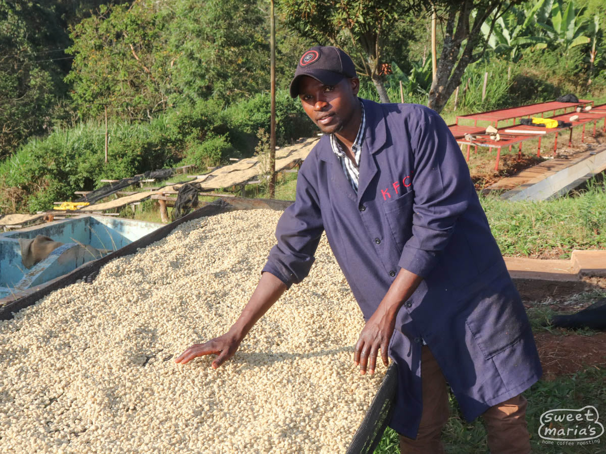  Embu County.