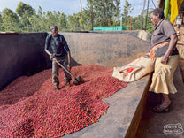  Kenya.